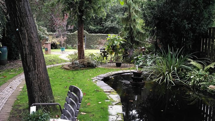 Foto 41 van Wijngaardstraat 16