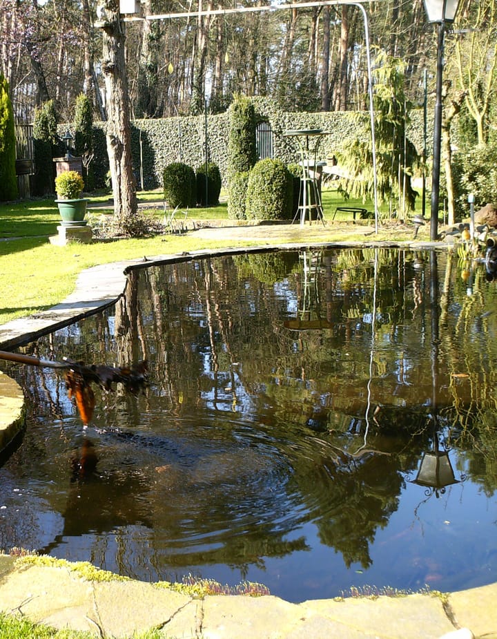 Foto 42 van Wijngaardstraat 16