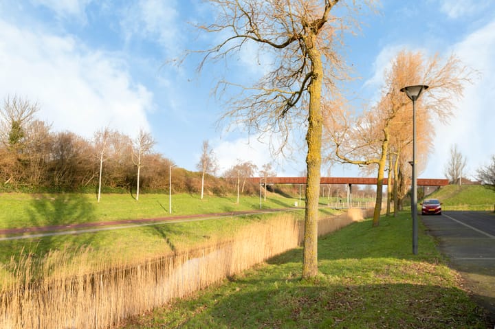 Foto 6 van Oosterschelde 123