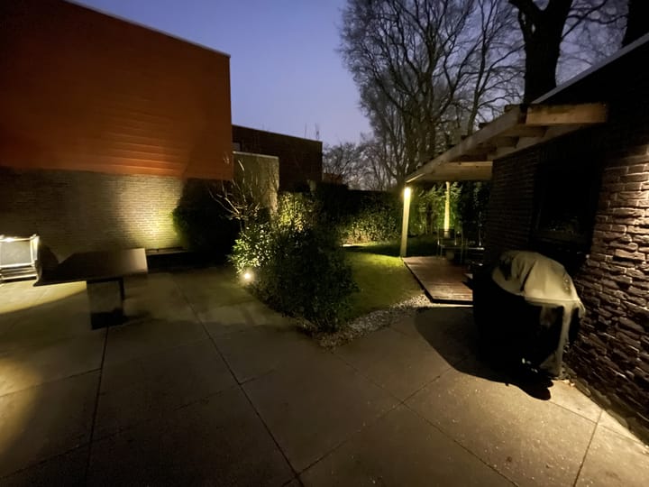 Foto 56 van Satijnzwam 15