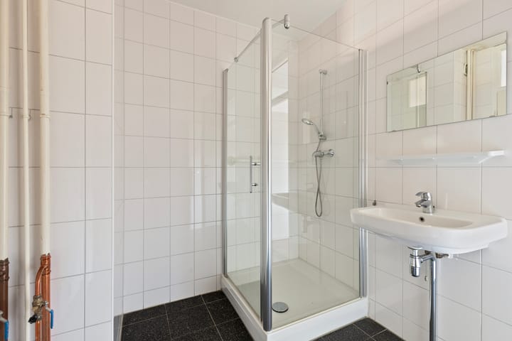 Foto 4 van Schapendries 45