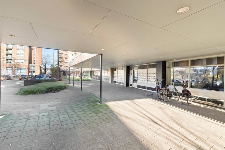 Foto 7 van Schapendries 45