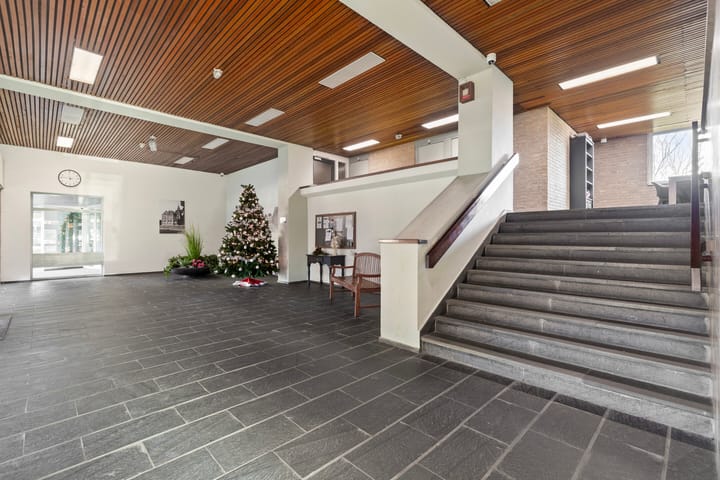 Foto 9 van Schapendries 45