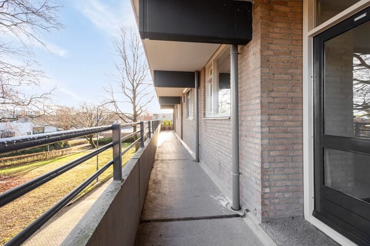 Foto 10 van Schapendries 45