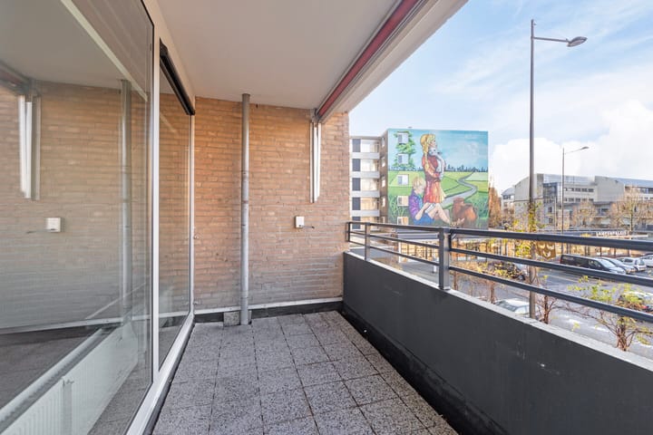 Foto 16 van Schapendries 45