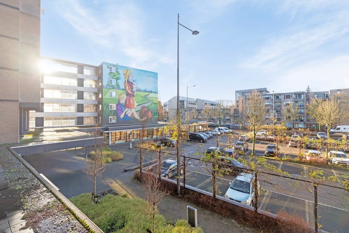 Foto 17 van Schapendries 45