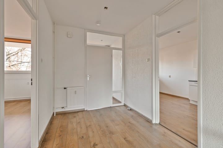 Foto 19 van Schapendries 45