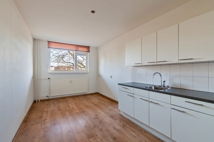 Foto 20 van Schapendries 45