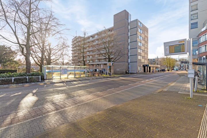 Foto 23 van Schapendries 45