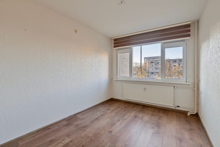 Foto 26 van Schapendries 45