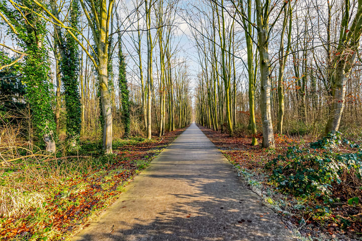 Foto 49 van Hanzeweg 20