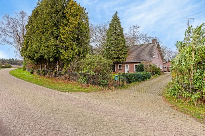 Foto 6 van Gebergte 8