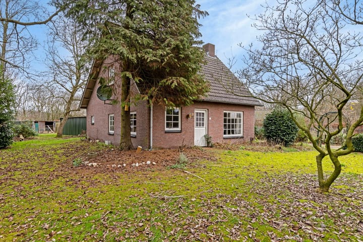 Foto 8 van Gebergte 8