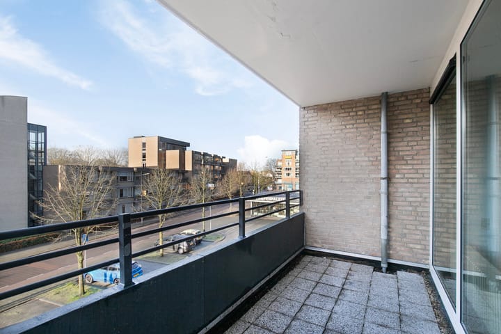 Foto 4 van Schapendries 114