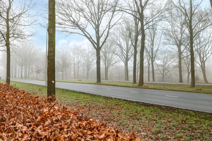 Foto 57 van Laan van Kernhem 339