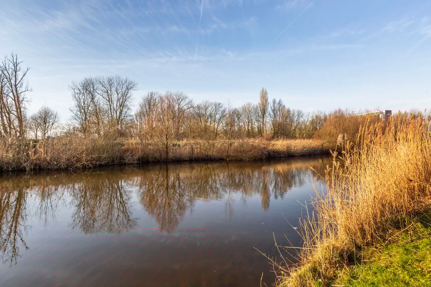 Foto 40 van Zwartewaalsestraat 69