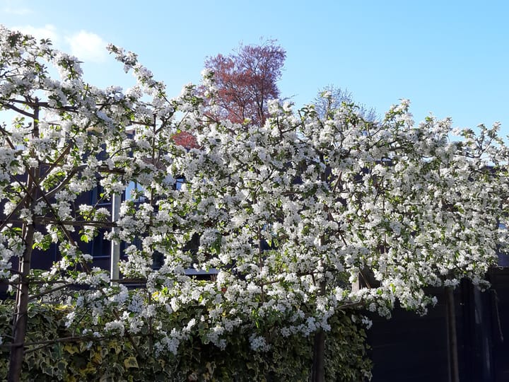 Foto 46 van Dommer van Poldersveldtweg 25-A