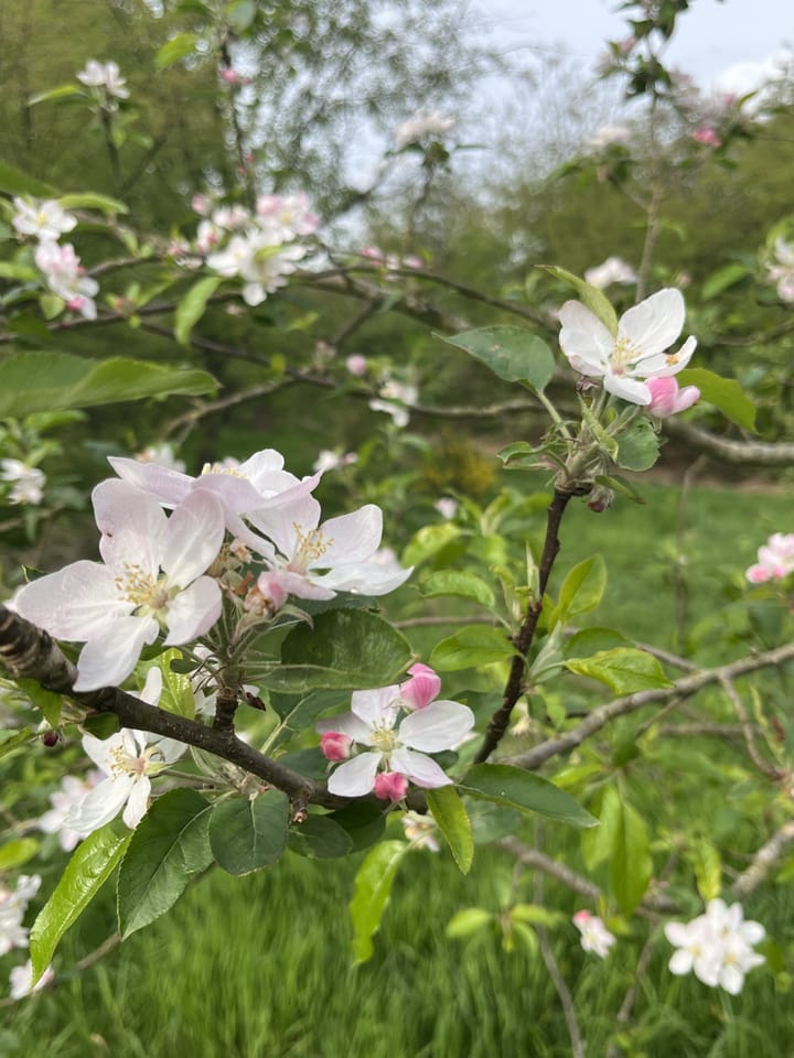 Foto 48 van Dommer van Poldersveldtweg 25-A