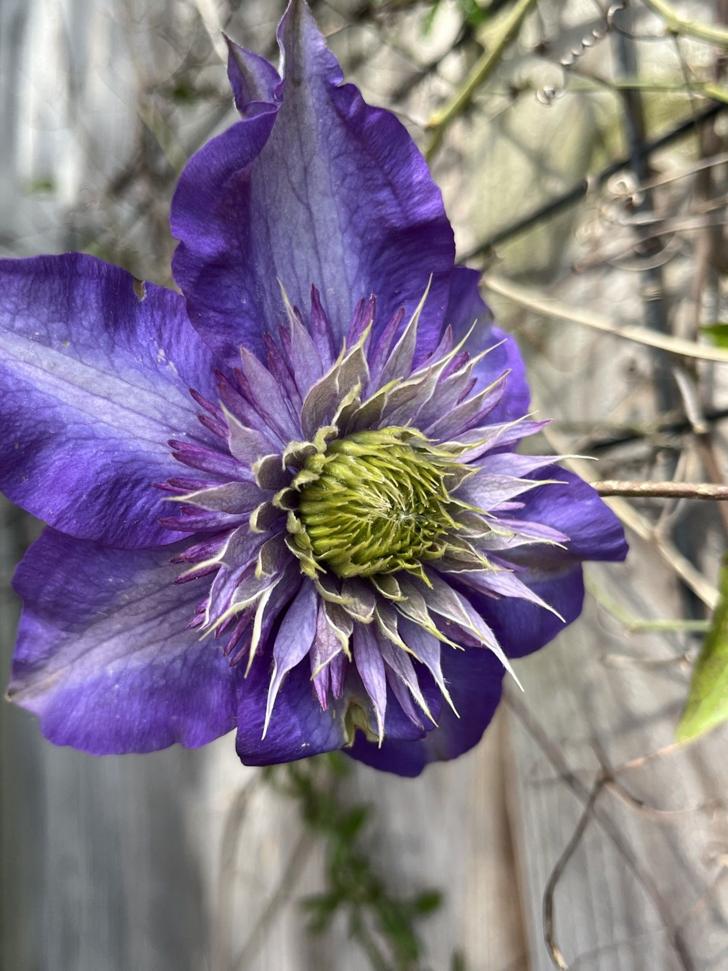 Photo 49 of Dommer van Poldersveldtweg 25-A