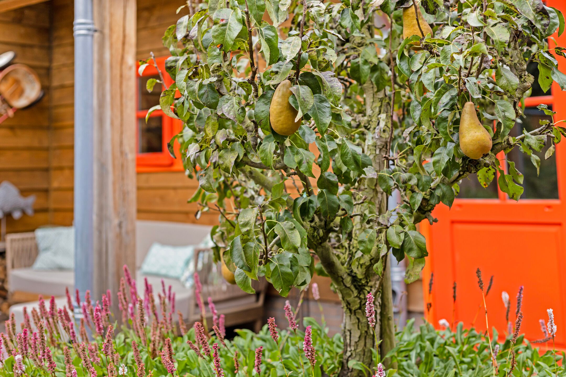 Foto 54 van Boomakkerweg 9