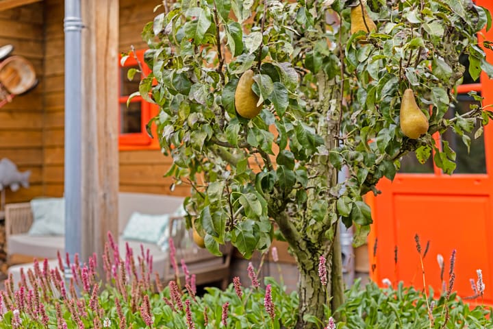 Foto 54 van Boomakkerweg 9