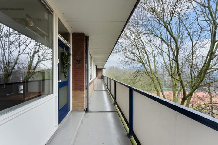 Foto 23 van Van Scorelstraat 77