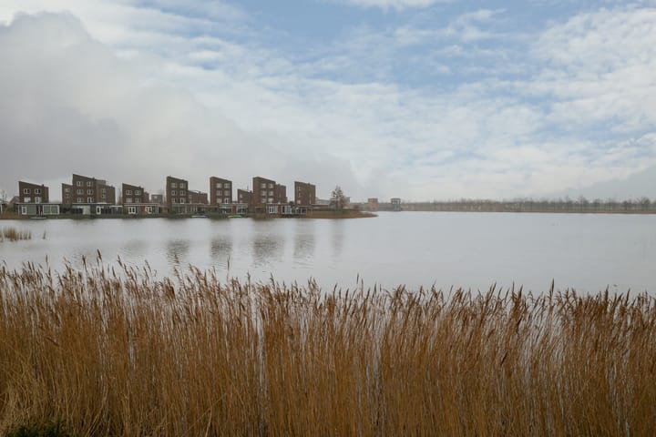 Foto 6 van Zuiderlicht 335