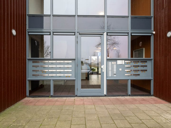 Foto 7 van Zuiderlicht 335