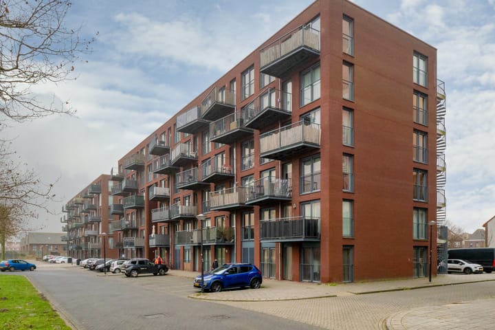 Foto 32 van Zuiderlicht 335