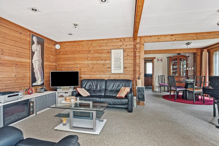 Foto 5 van Hangenier 4