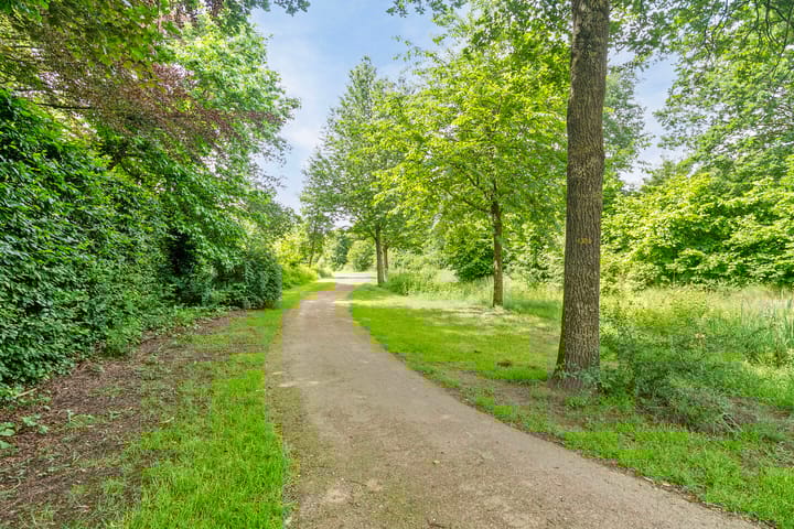 Foto 38 van Hangenier 4