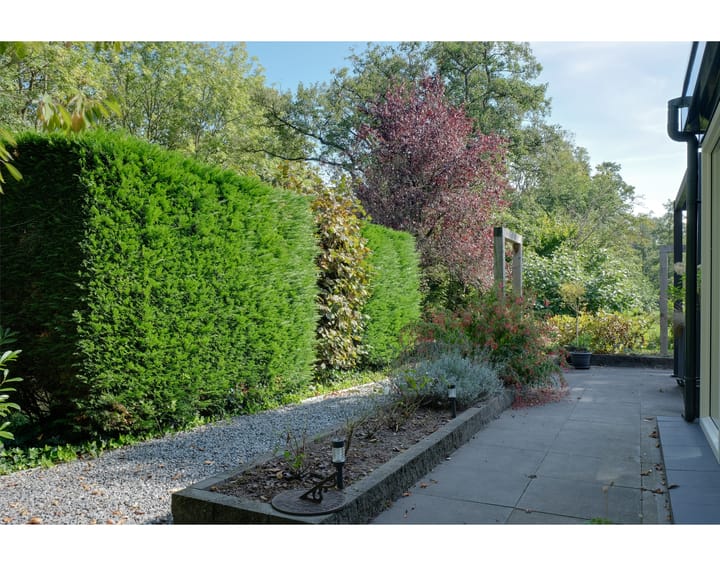 Foto 39 van Wilgenbroek 1