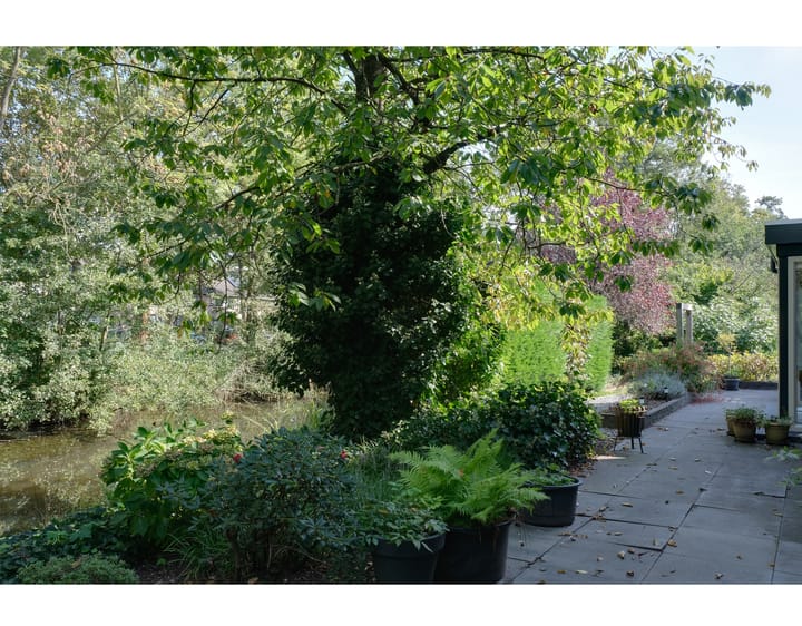 Foto 50 van Wilgenbroek 1