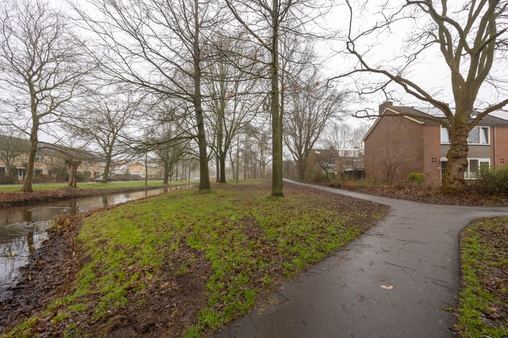 Foto 42 van Schelfhoutstraat 37