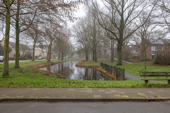 Foto 43 van Schelfhoutstraat 37