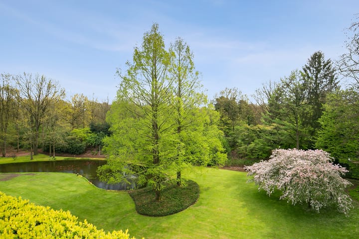 Foto 35 van Javalaan 83