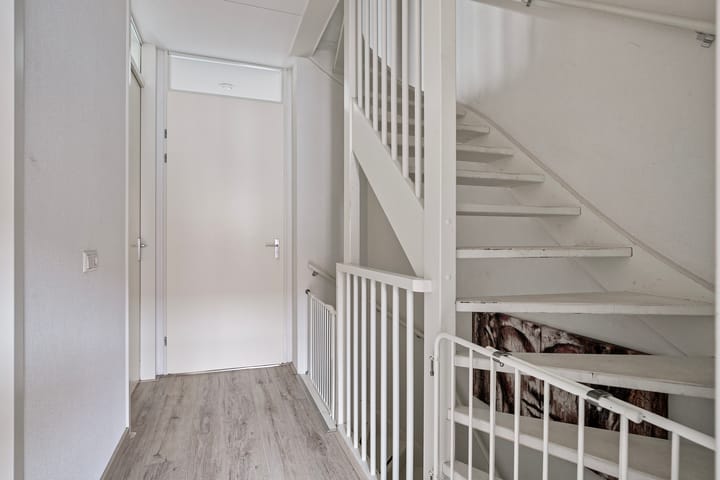 Foto 12 van Zwartbont 21