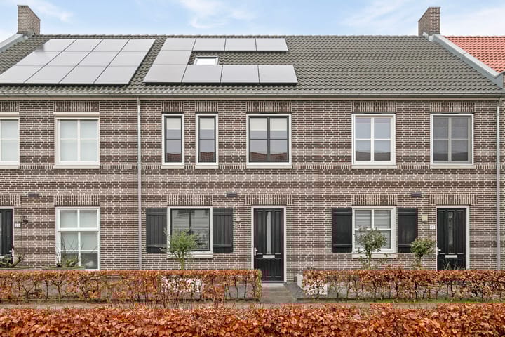 Foto 36 van Zwartbont 21