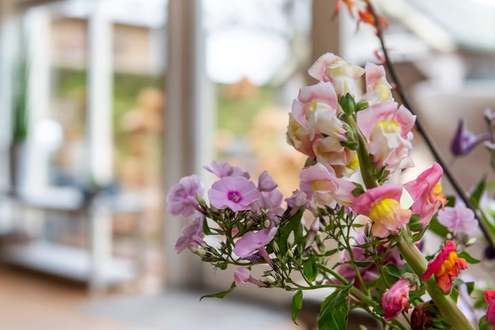 Foto 24 van Hogeweide 1