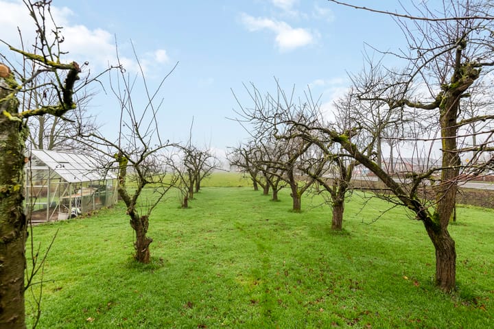 Foto 51 van Hogeweide 1