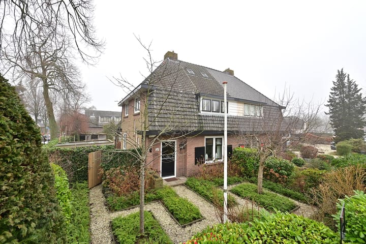 undefined main image