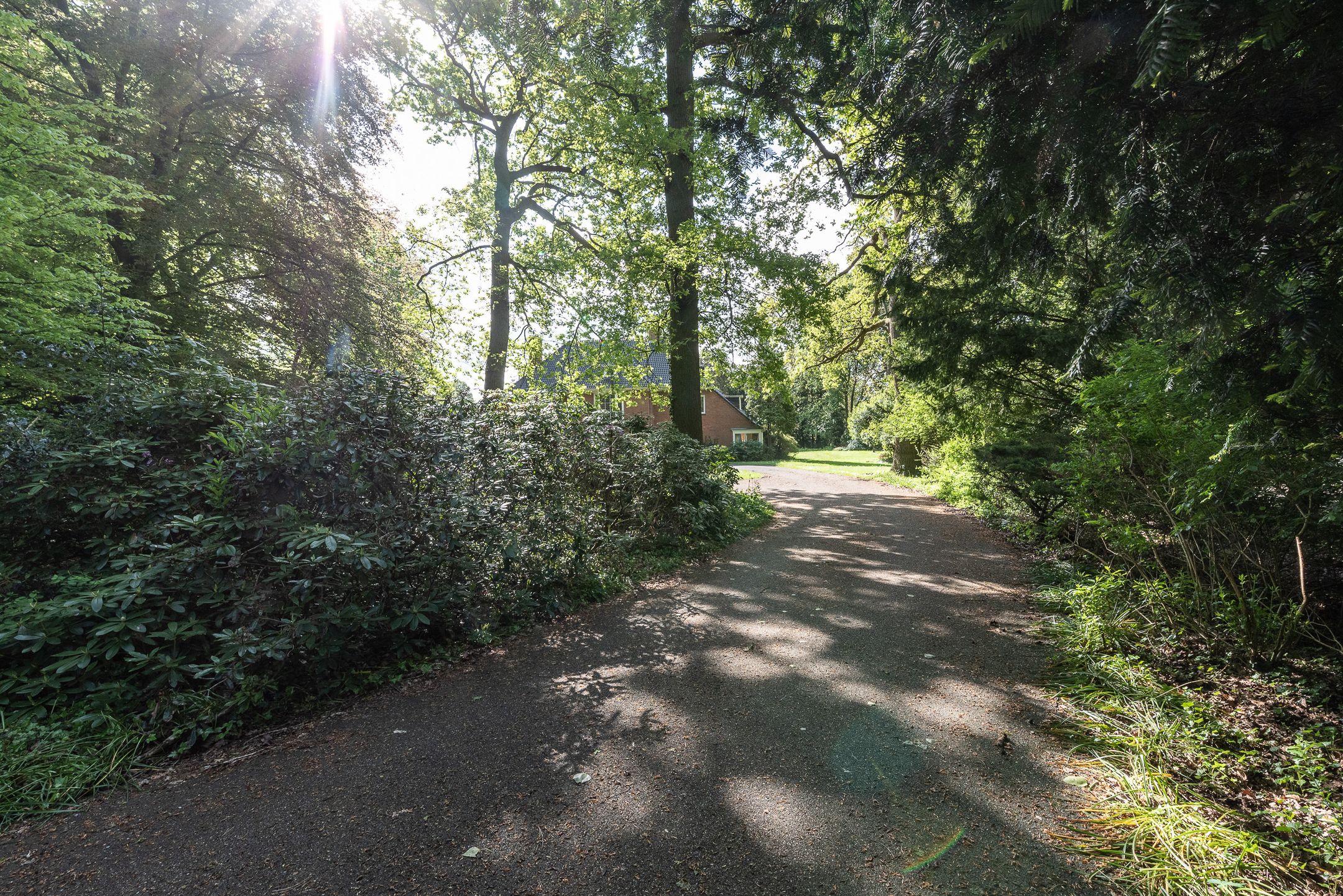 Foto 39 van Midden Duin en Daalseweg 23