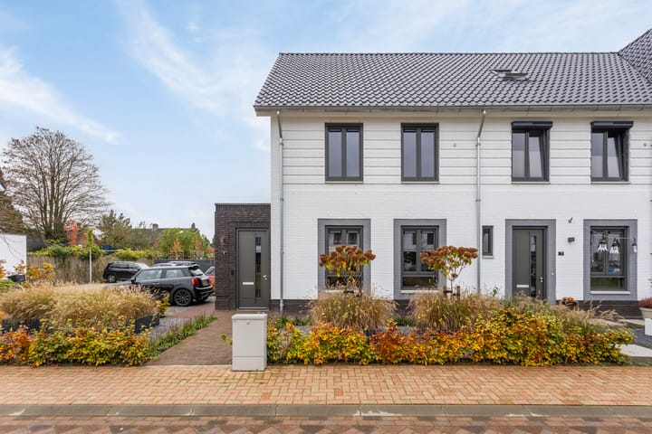 Foto 7 van Tyboschplein 6