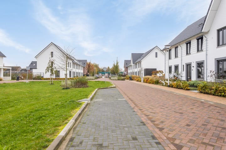 Foto 9 van Tyboschplein 6