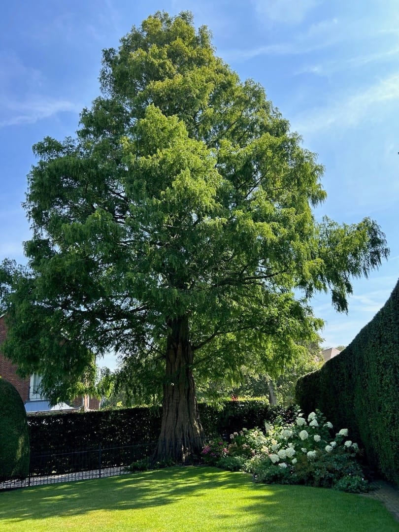 Foto 56 van Prinses Marielaan 36