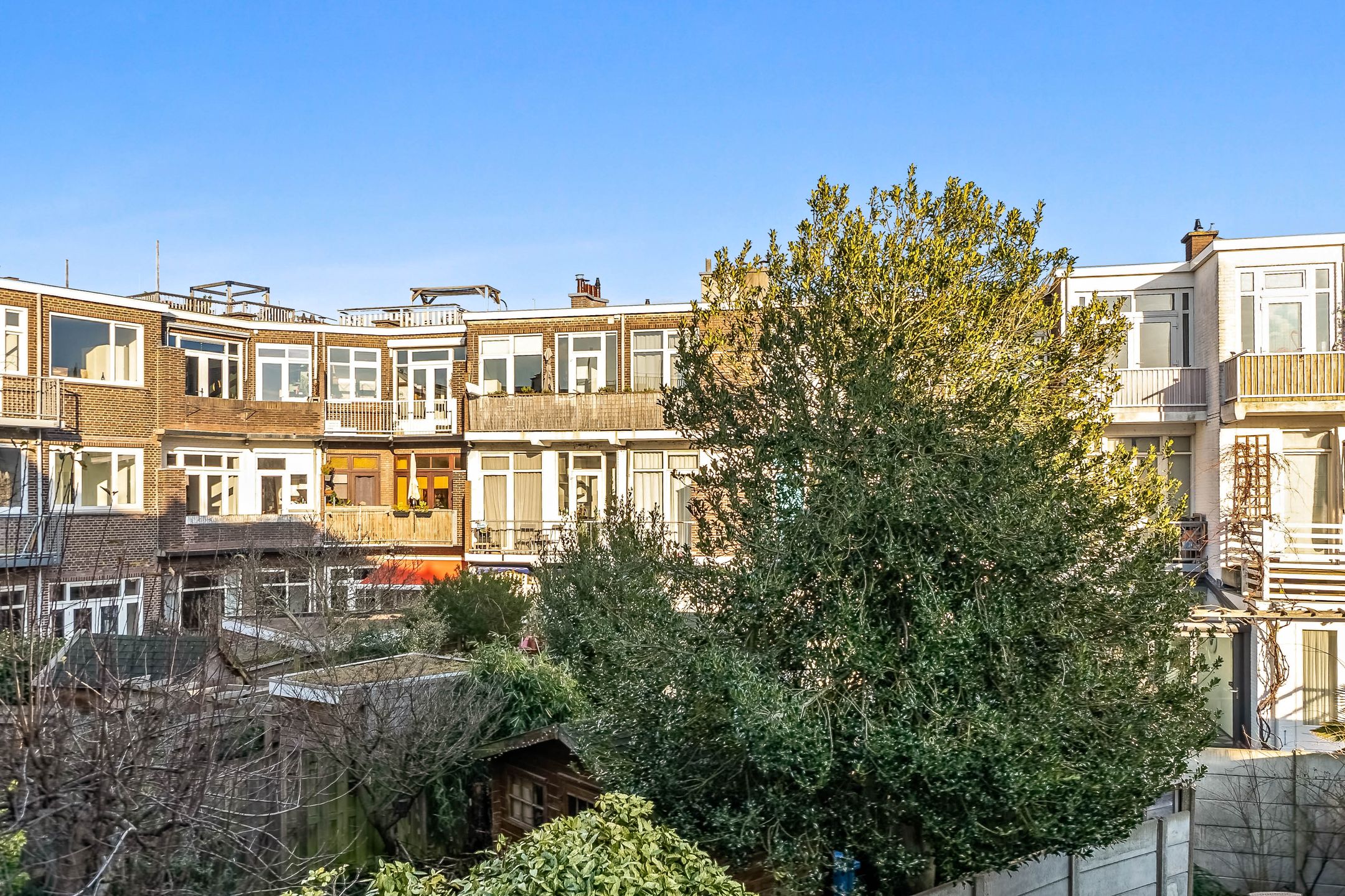 Foto 42 van van Halewijnlaan 342