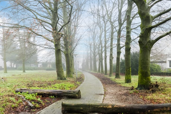 Foto 60 van Argonautenlaan 2