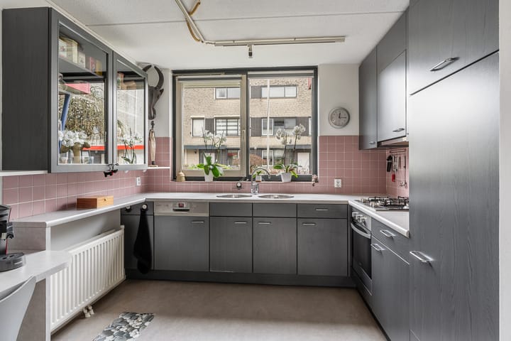 Foto 3 van Christoffelkruid 29