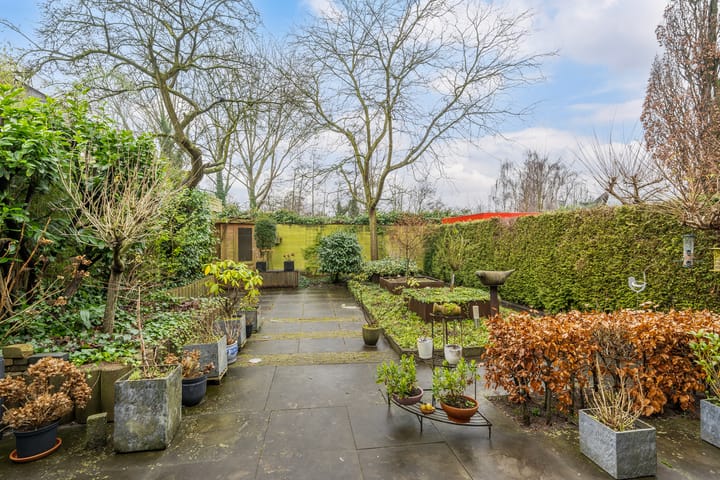 Foto 4 van Christoffelkruid 29