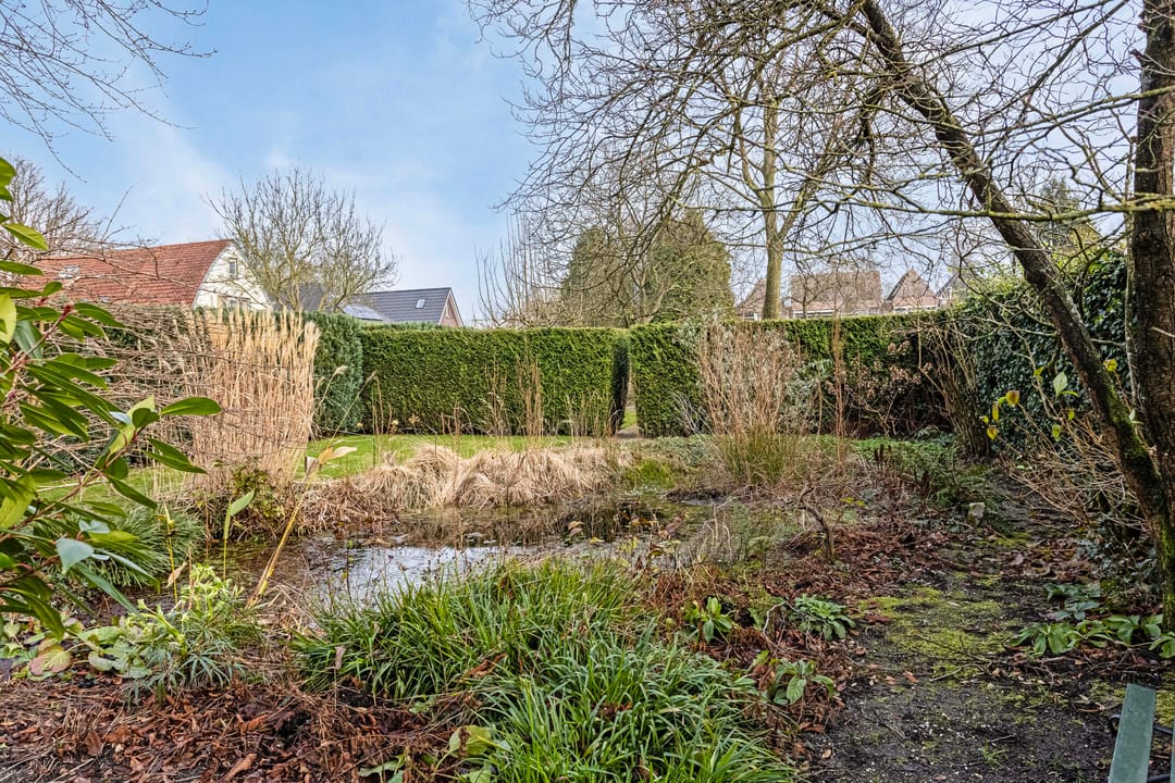 Foto 41 van Torenstraat 24